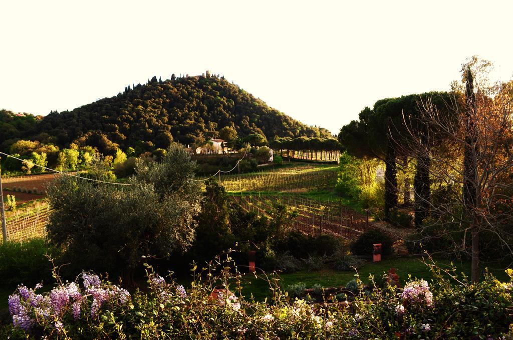 Podere L'Olmaia Marsiliana Exterior foto